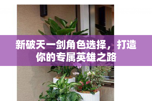 打造你的专属英雄之路图片