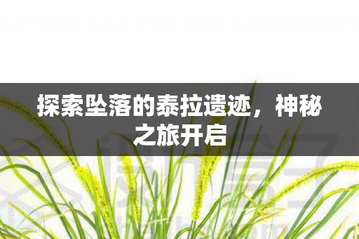 探索坠落的泰拉遗迹图片