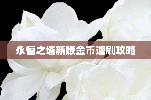 永恒之塔新版金币速刷攻略图片