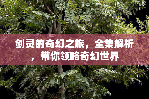 剑灵的奇幻之旅,全集解析,带你领略奇幻世界 剑灵的奇幻之旅,全集解析,带你领略奇幻世界