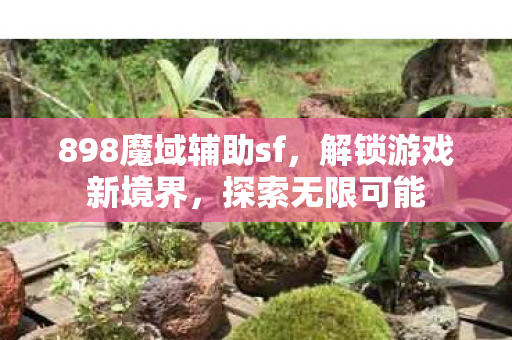 898魔域辅助sf图片