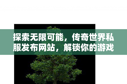 传奇世界私服发布网站图片