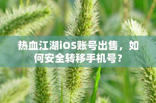 热血江湖iOS账号出售图片
