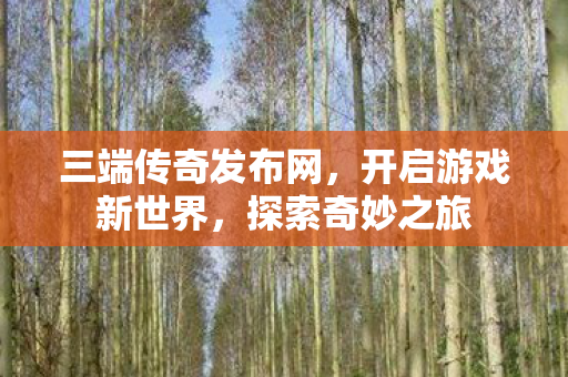 三端传奇发布网图片