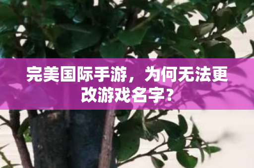 为何无法更改游戏名字图片