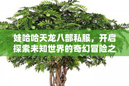 开启探索未知世界的奇幻冒险之旅图片