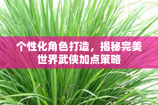 揭秘完美世界武侠加点策略图片