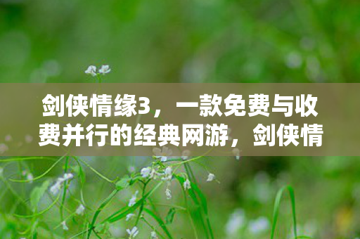 一款免费与收费并行的经典网游图片