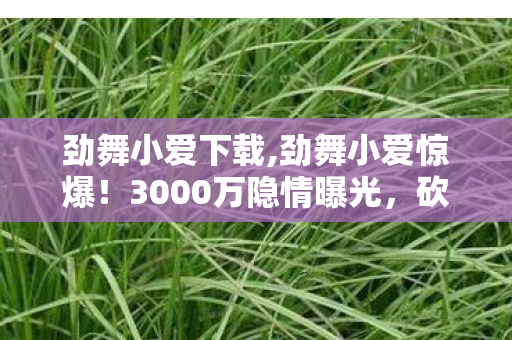 劲舞小爱下载,劲舞小爱惊爆!3000万隐情曝光,砍玩法决策让人吓一跳! 劲舞小爱下载,劲舞小爱惊爆!3000万隐情曝光,砍玩法决策让人吓一跳!