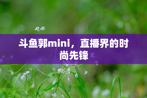 直播界的时尚先锋图片