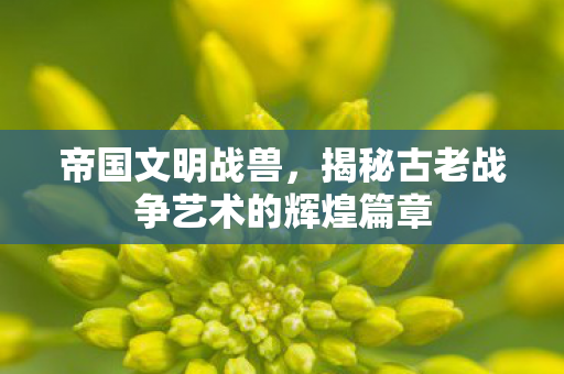揭秘古老战争艺术的辉煌篇章图片