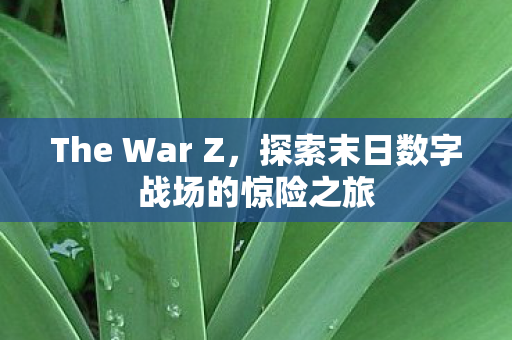 探索末日数字战场的惊险之旅图片