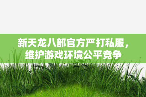 新天龙八部官方严打私服图片