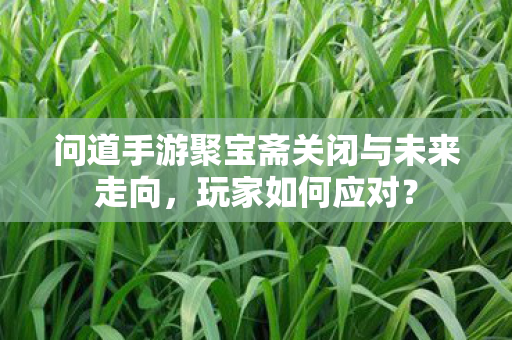 问道手游聚宝斋关闭与未来走向图片