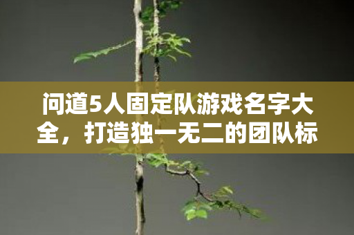 问道5人固定队游戏名字大全图片