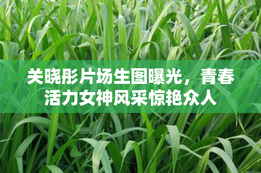 青春活力女神风采惊艳众人图片