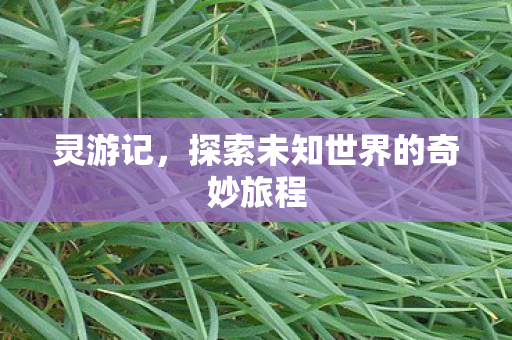 探索未知世界的奇妙旅程图片