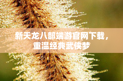 新天龙八部端游官网下载图片