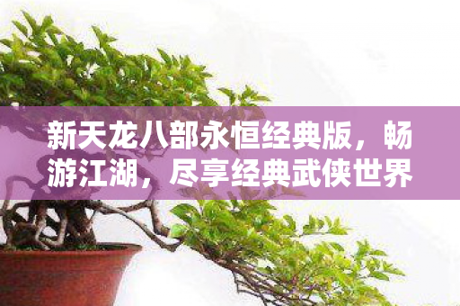 新天龙八部永恒经典版图片