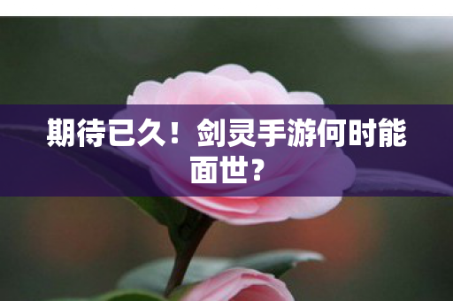 期待已久!剑灵手游何时能面世? 期待已久!剑灵手游何时能面世?