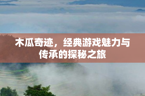 经典游戏魅力与传承的探秘之旅图片