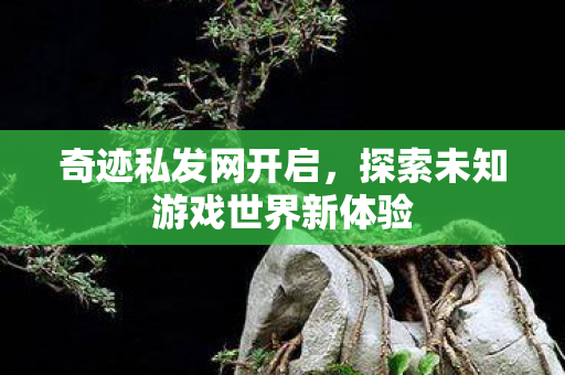 探索未知游戏世界新体验图片