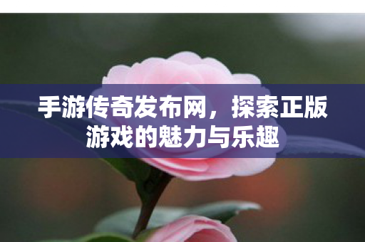 探索正版游戏的魅力与乐趣图片