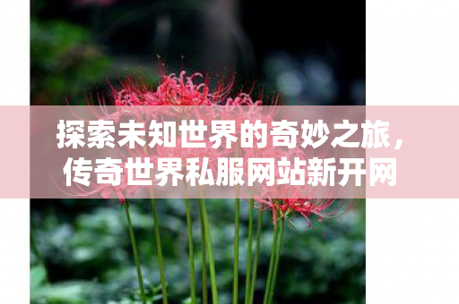 探索未知世界的奇妙之旅图片
