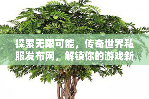 传奇世界私服发布网图片
