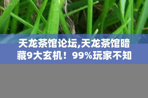天龙茶馆论坛,天龙茶馆暗藏9大玄机!99%玩家不知的逆袭秘籍,看完直呼颠覆认知! 天龙茶馆论坛,天龙茶馆暗藏9大玄机!99%玩家不知的逆袭秘籍,看完直呼颠覆认知!