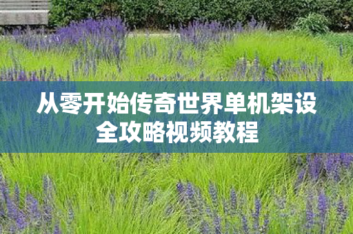 从零开始传奇世界单机架设全攻略视频教程 从零开始传奇世界单机架设全攻略视频教程