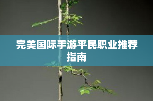 完美国际手游平民职业推荐指南图片