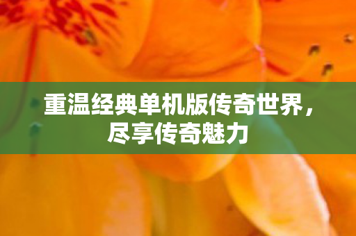 重温经典单机版传奇世界图片