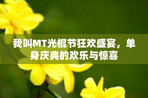我叫MT光棍节狂欢盛宴图片