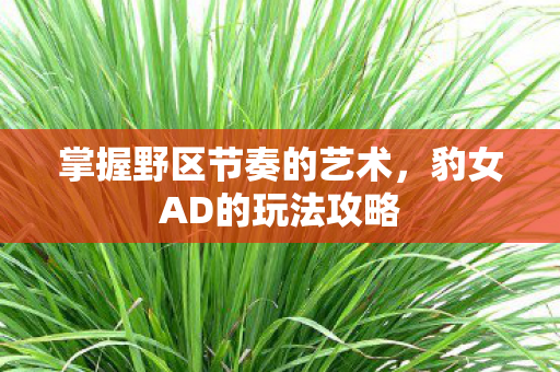 掌握野区节奏的艺术图片