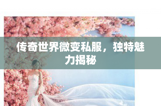 传奇世界微变私服图片