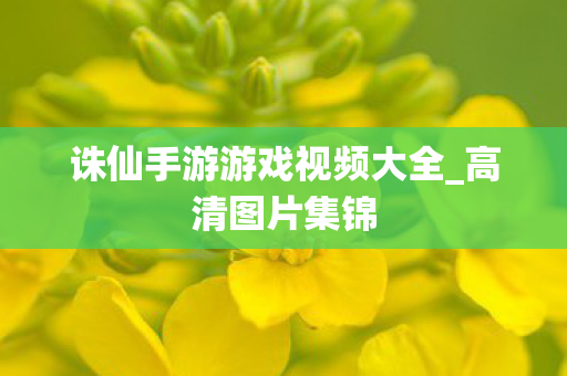 诛仙手游游戏视频大全图片