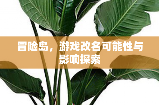 游戏改名可能性与影响探索图片