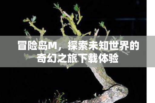 探索未知世界的奇幻之旅下载体验图片