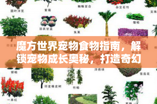 魔方世界宠物食物指南图片