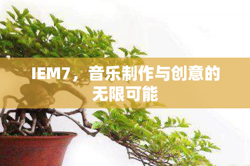 音乐制作与创意的无限可能图片
