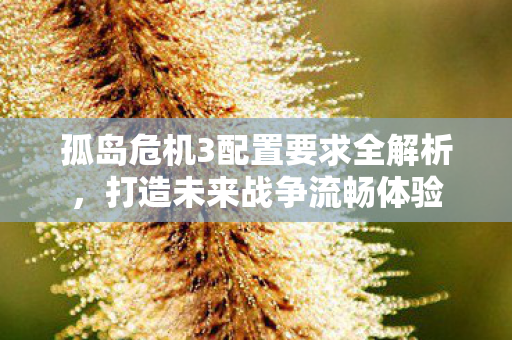 孤岛危机3配置要求全解析图片