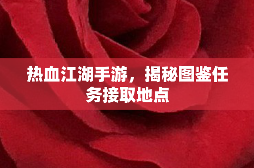 揭秘图鉴任务接取地点图片