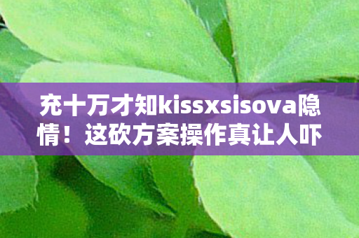 充十万才知kissxsisova隐情!这砍方案操作真让人吓一跳! 充十万才知kissxsisova隐情!这砍方案操作真让人吓一跳!