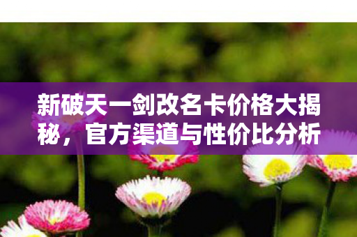 新破天一剑改名卡价格大揭秘图片
