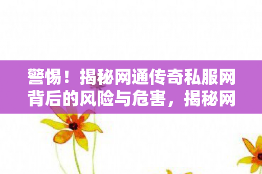 揭秘网通传奇私服网背后的风险与危害图片