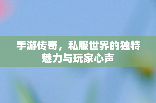 私服世界的独特魅力与玩家心声图片