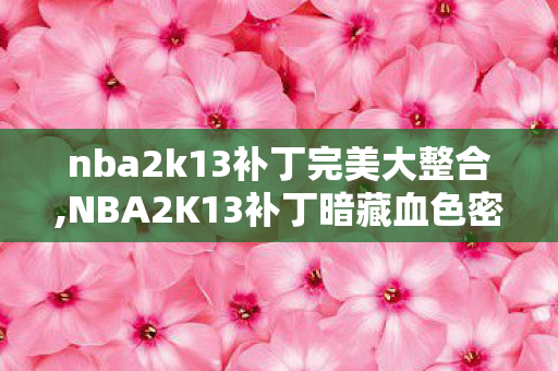 nba2k13补丁完美大整合,NBA2K13补丁暗藏血色密码，十年悬案，毛骨悚然的游戏囚徒