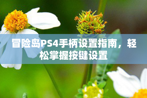 冒险岛PS4手柄设置指南图片