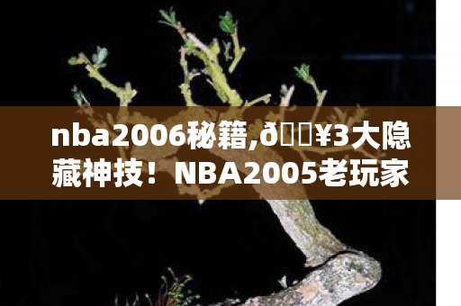 nba2006秘籍,🔥3大隐藏神技!NBA2005老玩家含泪总结,这操作让我梦回巅峰! nba2006秘籍,🔥3大隐藏神技!NBA2005老玩家含泪总结,这操作让我梦回巅峰!